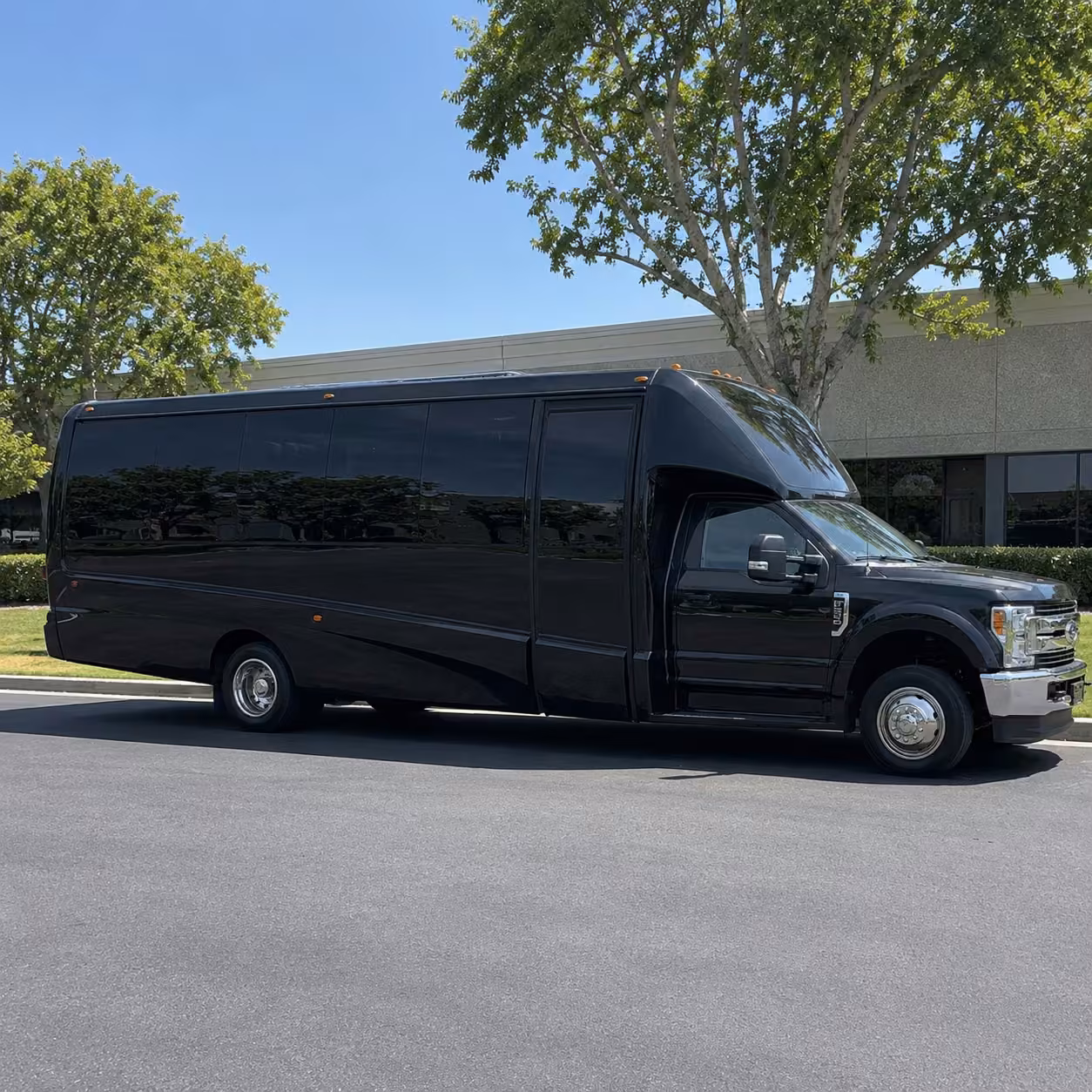 20 passenger party bus